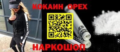 дмт Тара