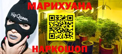 дмт Тара