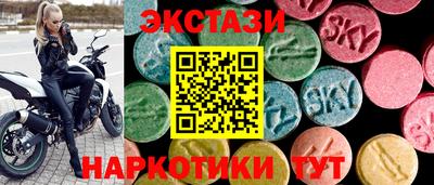 дмт Тара