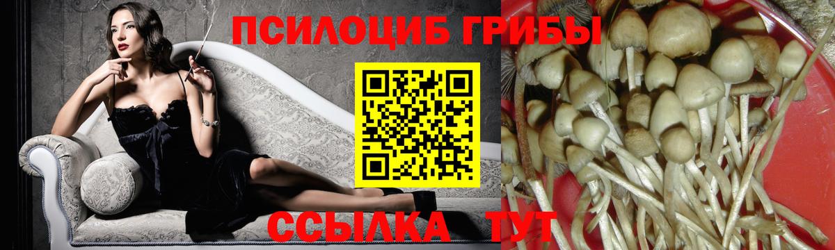 Псилоцибиновые грибы Magic Shrooms Новороссийск